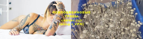 стафф Вязники